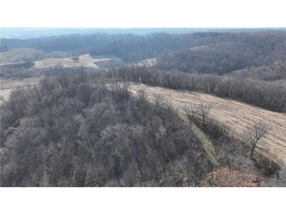 XX Folkman Blair WI 54616 1587373 image17