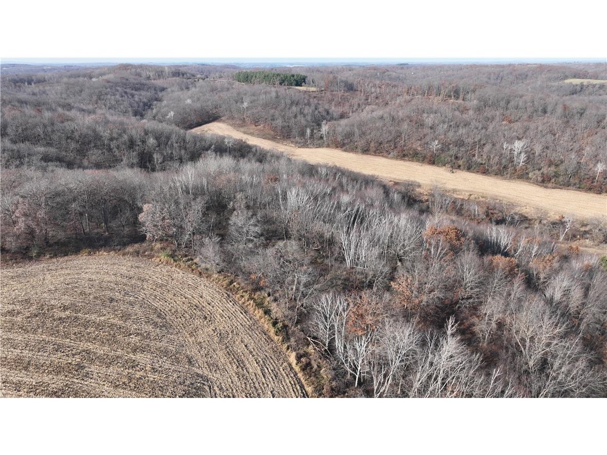 XX Folkman Blair WI 54616 1587373 image18