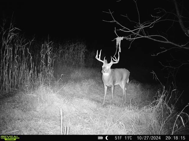 XX Folkman Blair WI 54616 1587373 image2