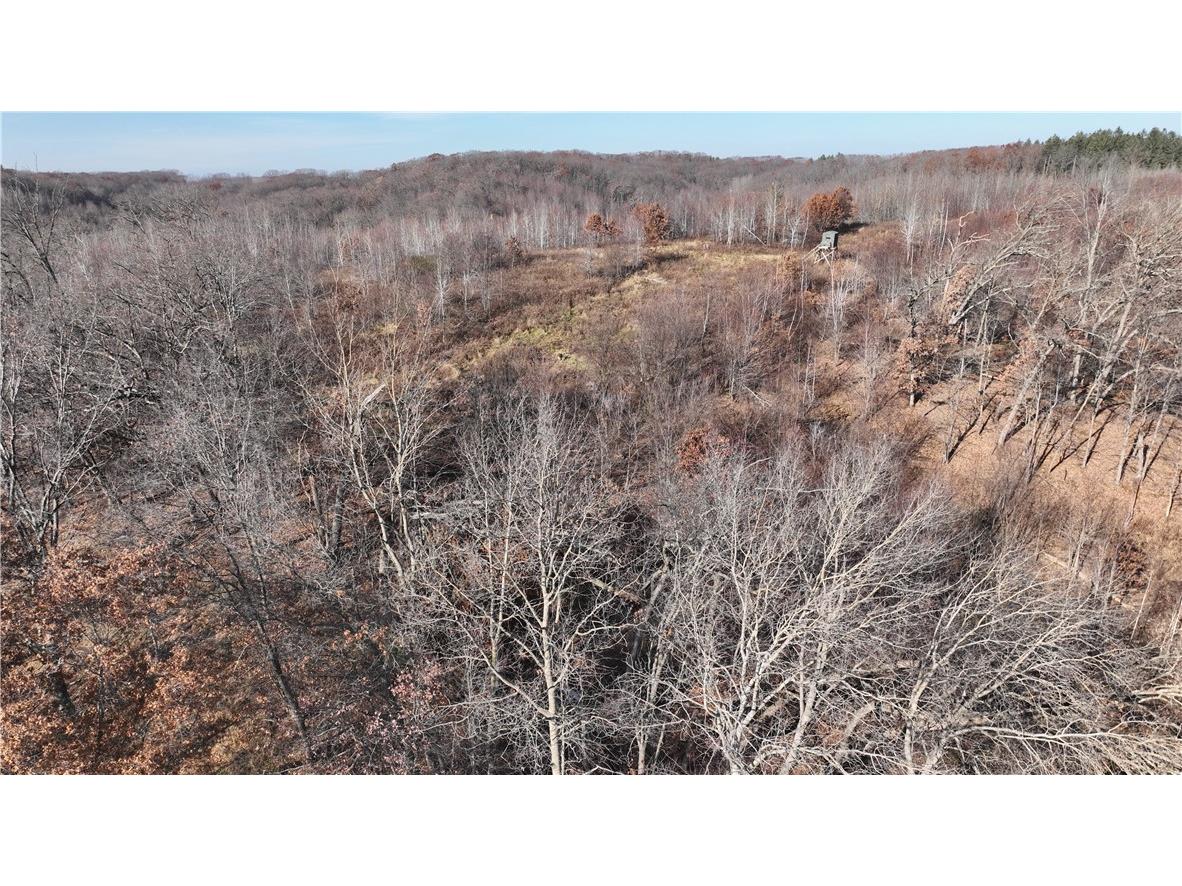 XX Folkman Blair WI 54616 1587373 image21