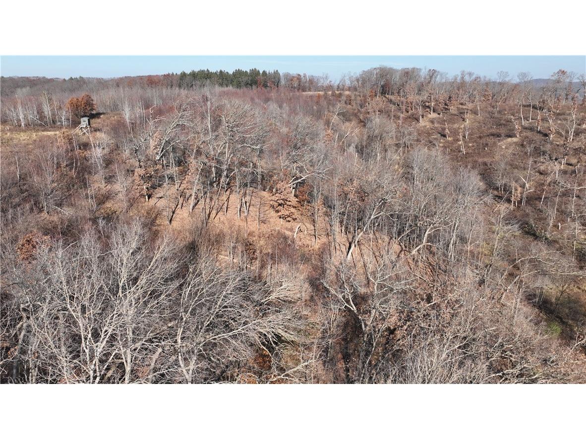 XX Folkman Blair WI 54616 1587373 image22