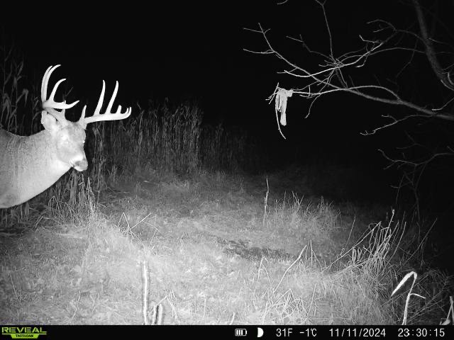 XX Folkman Blair WI 54616 1587373 image24