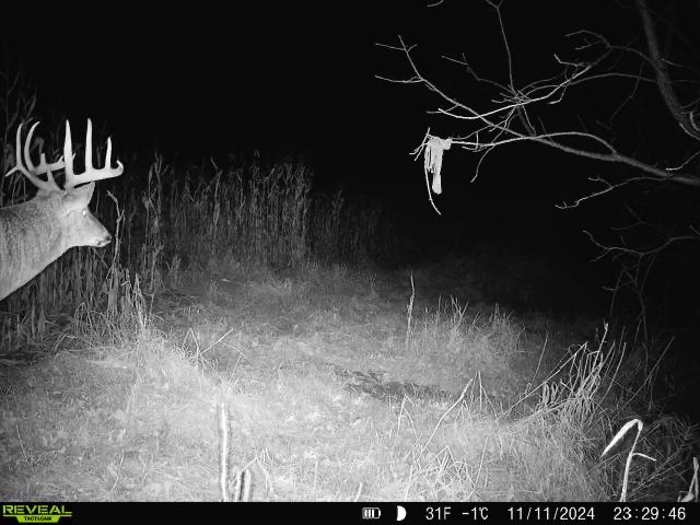 XX Folkman Blair WI 54616 1587373 image25