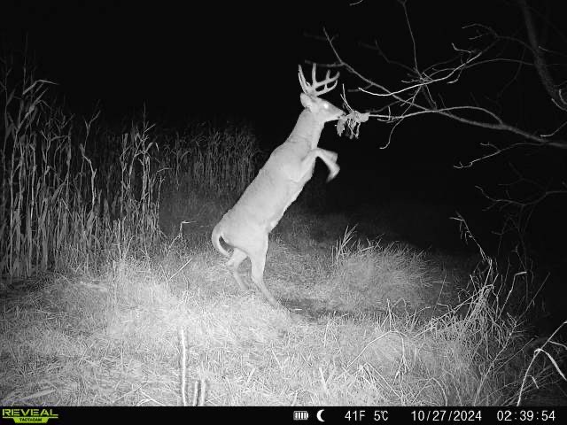 XX Folkman Blair WI 54616 1587373 image27