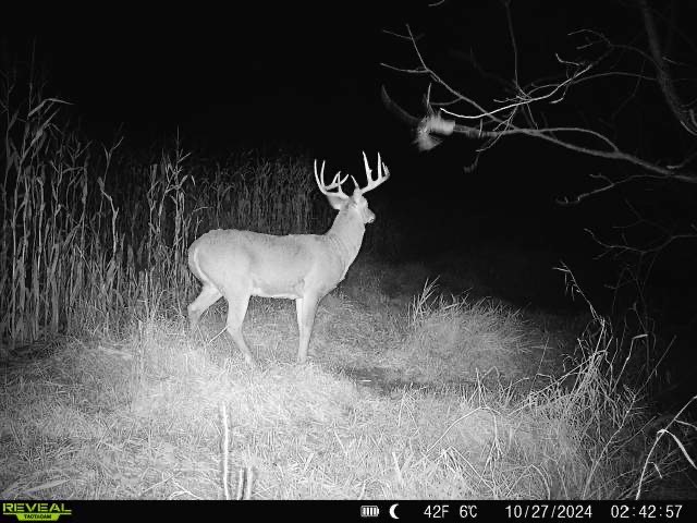 XX Folkman Blair WI 54616 1587373 image28