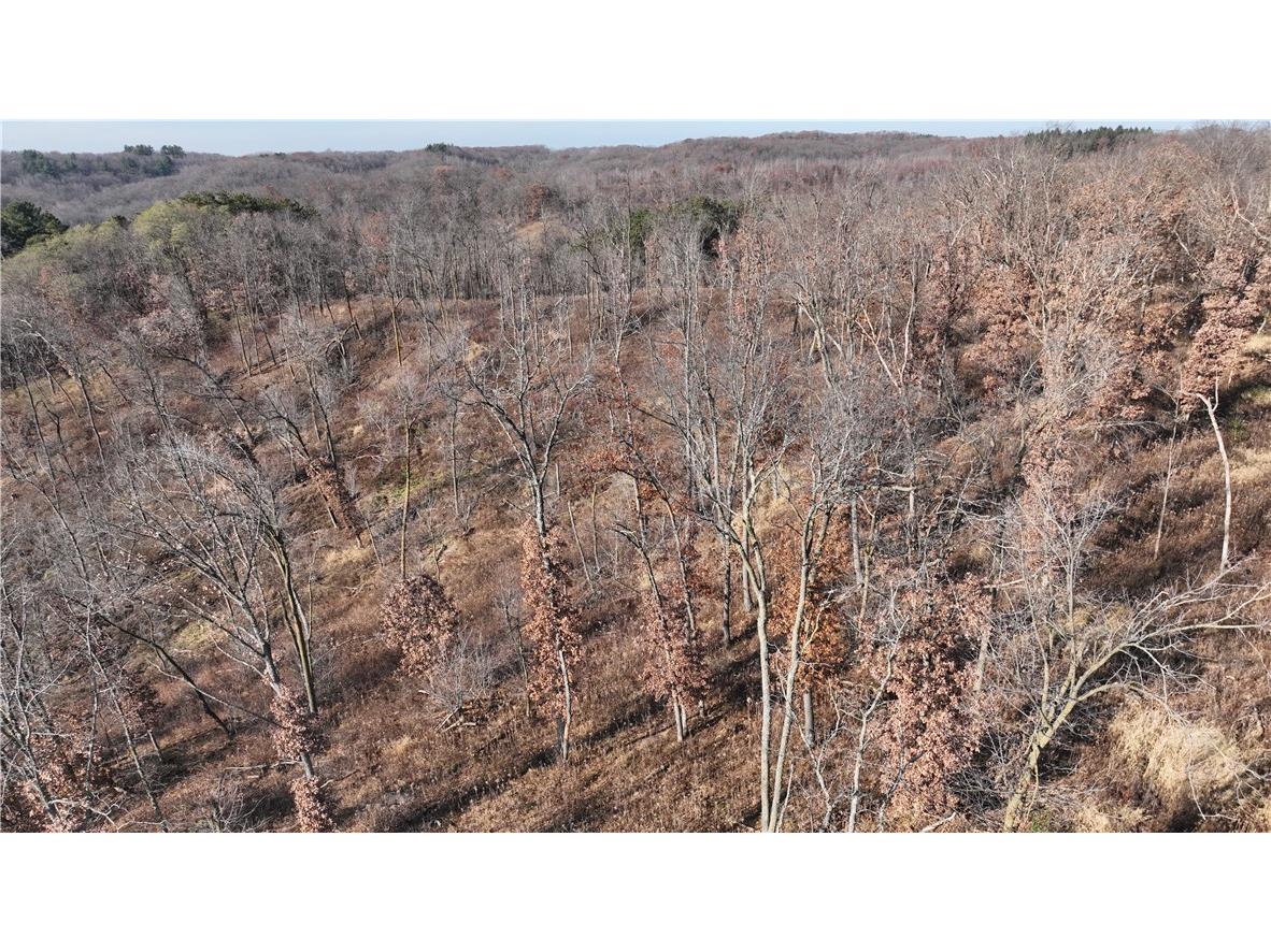 XX Folkman Blair WI 54616 1587373 image4