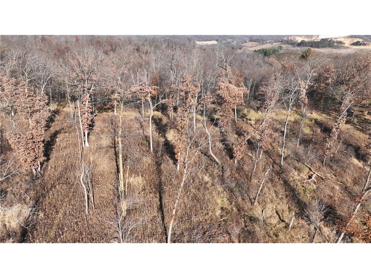 XX Folkman Blair WI 54616 1587373 image5