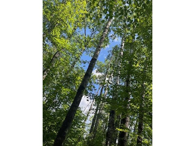 XX Hwy 77 Minong WI 54859 1596375 image4