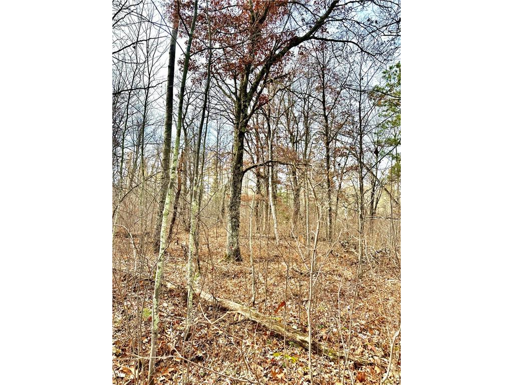 XX Highway 77 Minong WI 54859 1578323 image1