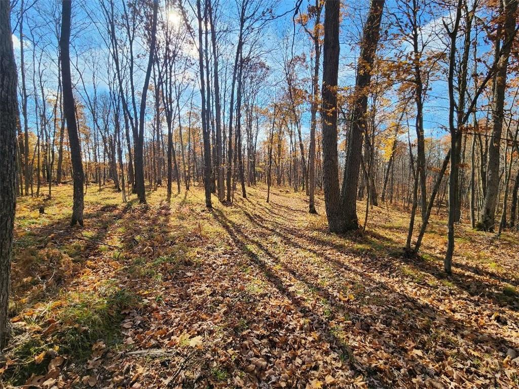 XX Timberland Road Barronett WI 54813 1576414 image1