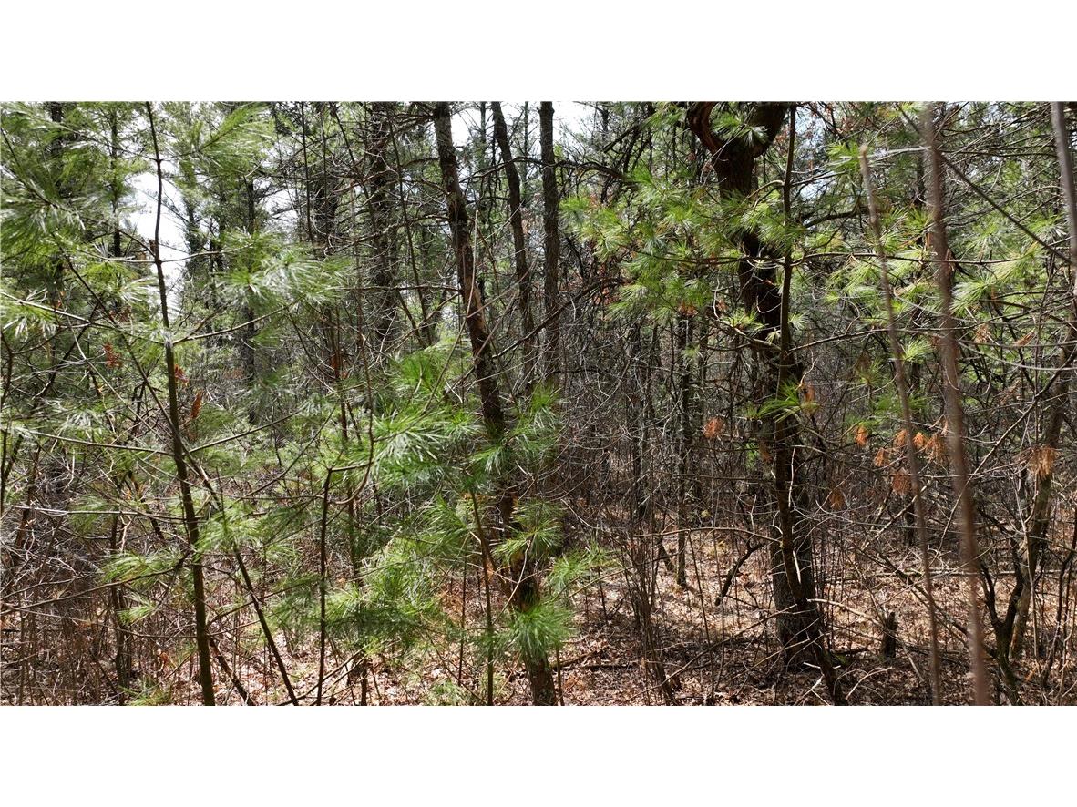 XX North Old County Road I Black River Falls WI 54615 - Robinson 1590844 image10