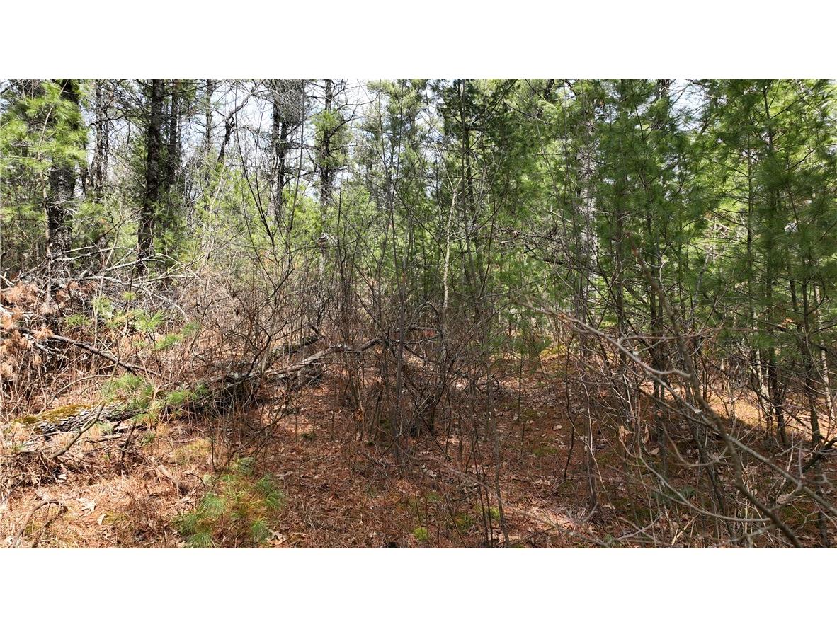 XX North Old County Road I Black River Falls WI 54615 - Robinson 1590844 image11