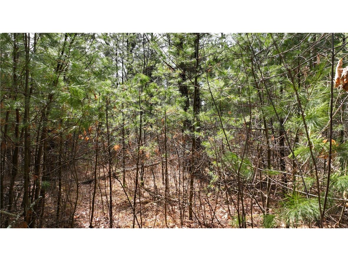 XX North Old County Road I Black River Falls WI 54615 - Robinson 1590844 image12