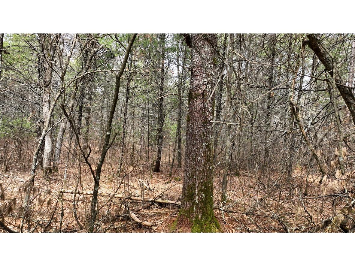 XX North Old County Road I Black River Falls WI 54615 - Robinson 1590844 image2