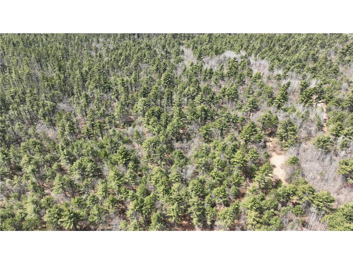 XX North Old County Road I Black River Falls WI 54615 - Robinson 1590844 image23