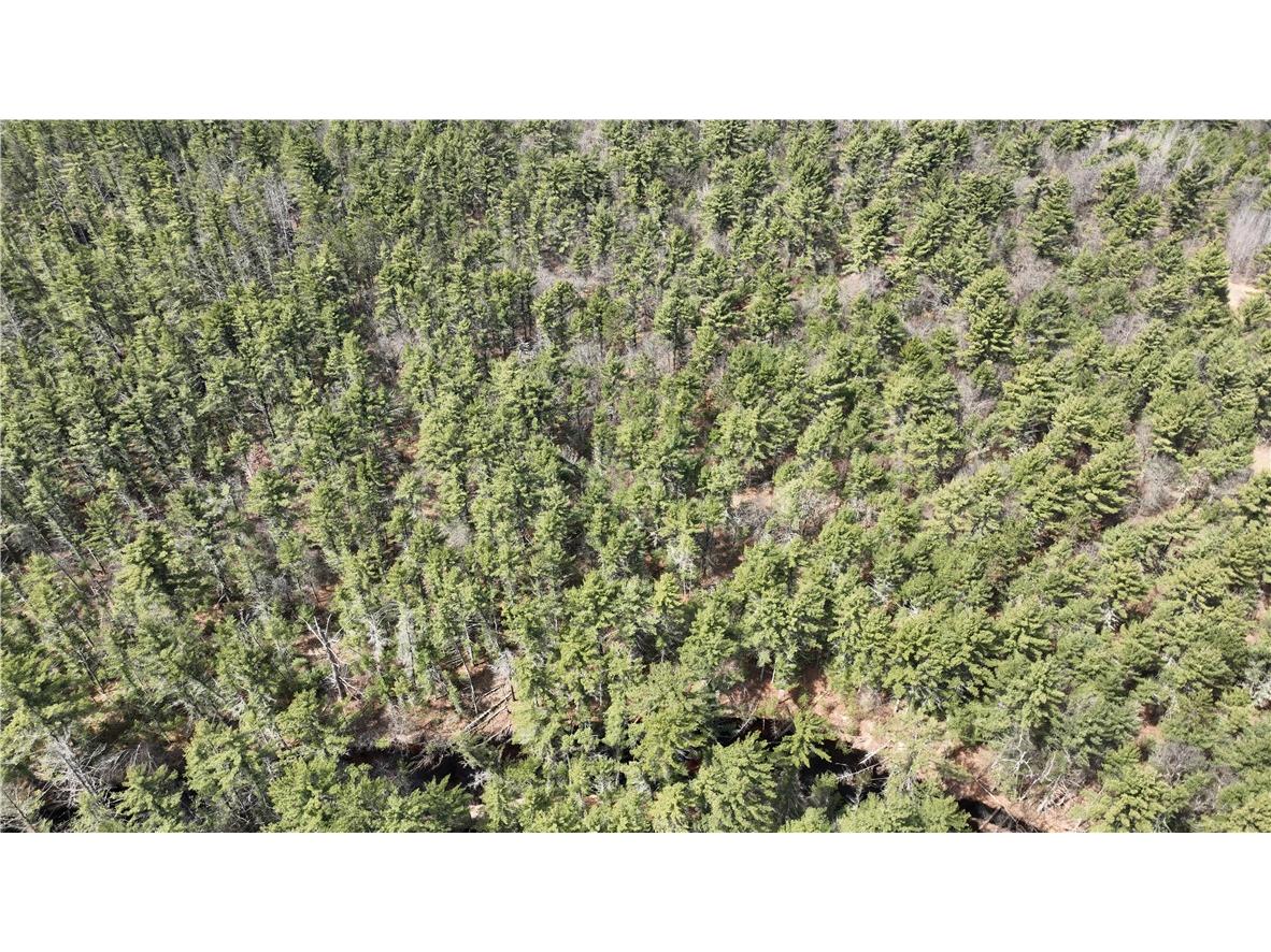 XX North Old County Road I Black River Falls WI 54615 - Robinson 1590844 image24