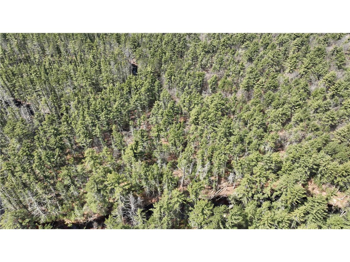 XX North Old County Road I Black River Falls WI 54615 - Robinson 1590844 image25