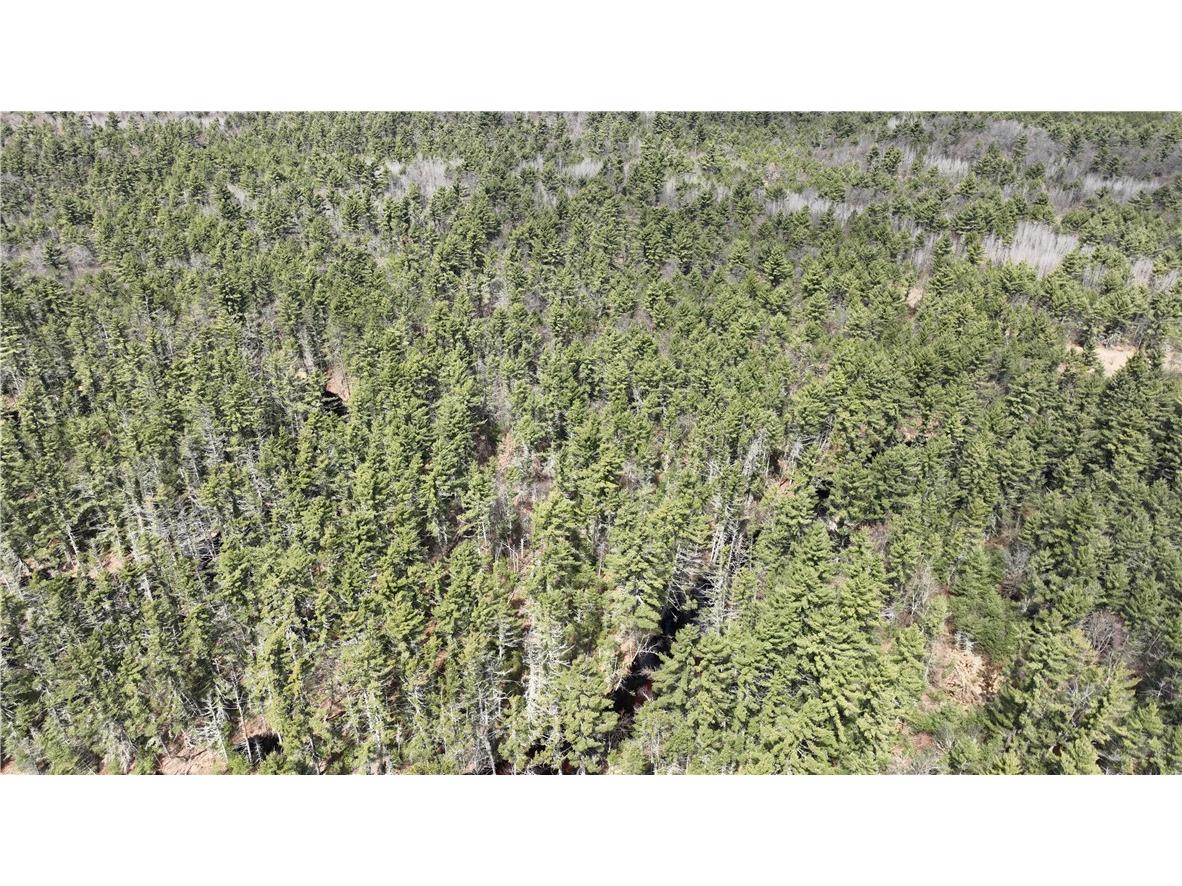 XX North Old County Road I Black River Falls WI 54615 - Robinson 1590844 image27