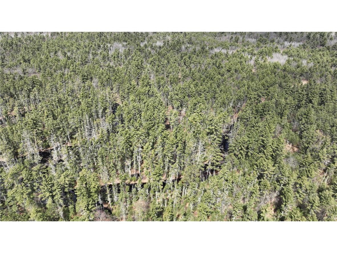 XX North Old County Road I Black River Falls WI 54615 - Robinson 1590844 image28