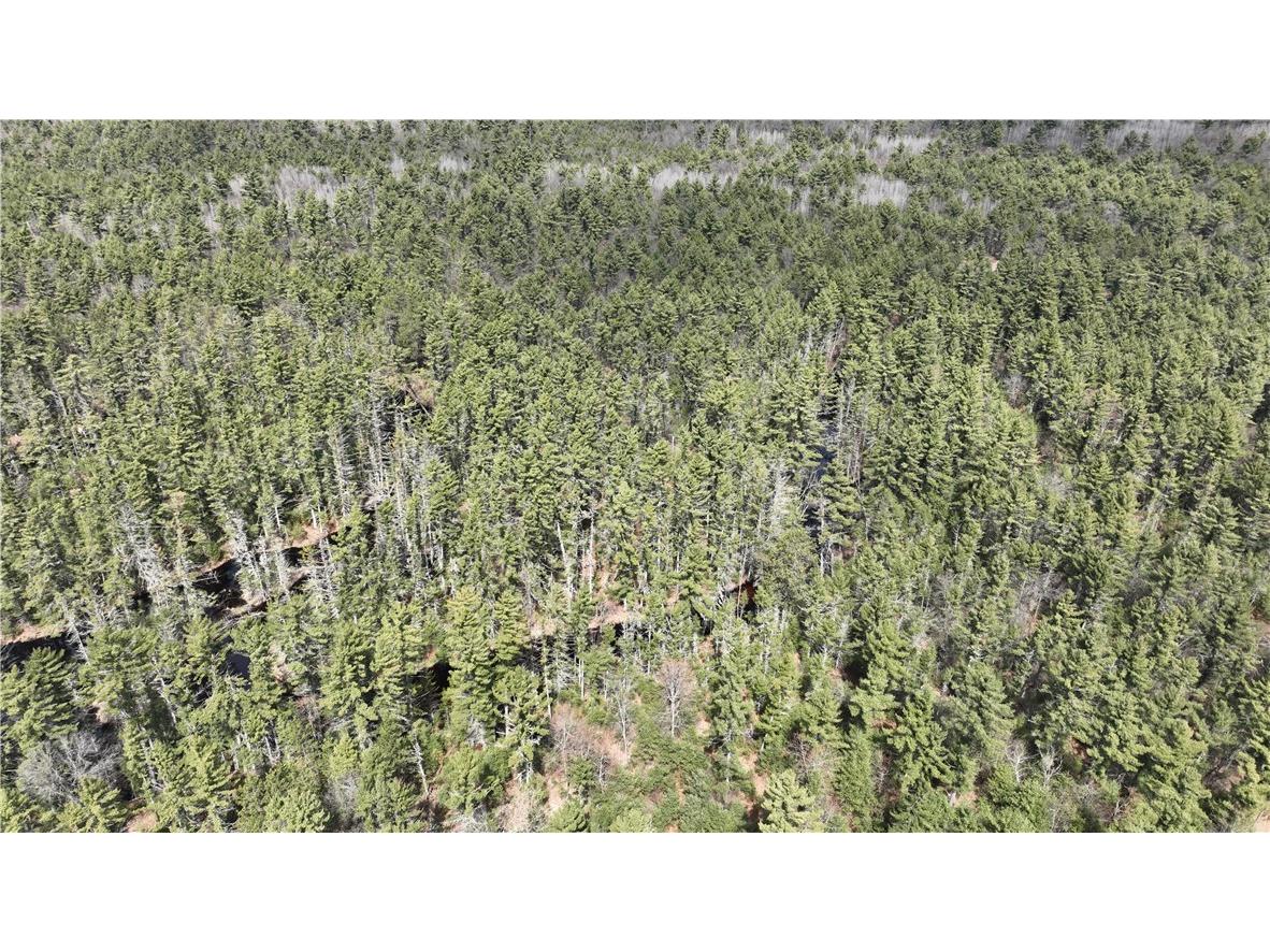 XX North Old County Road I Black River Falls WI 54615 - Robinson 1590844 image29