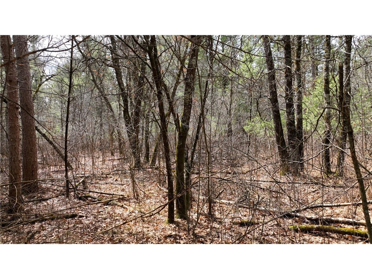 XX North Old County Road I Black River Falls WI 54615 - Robinson 1590844 image3