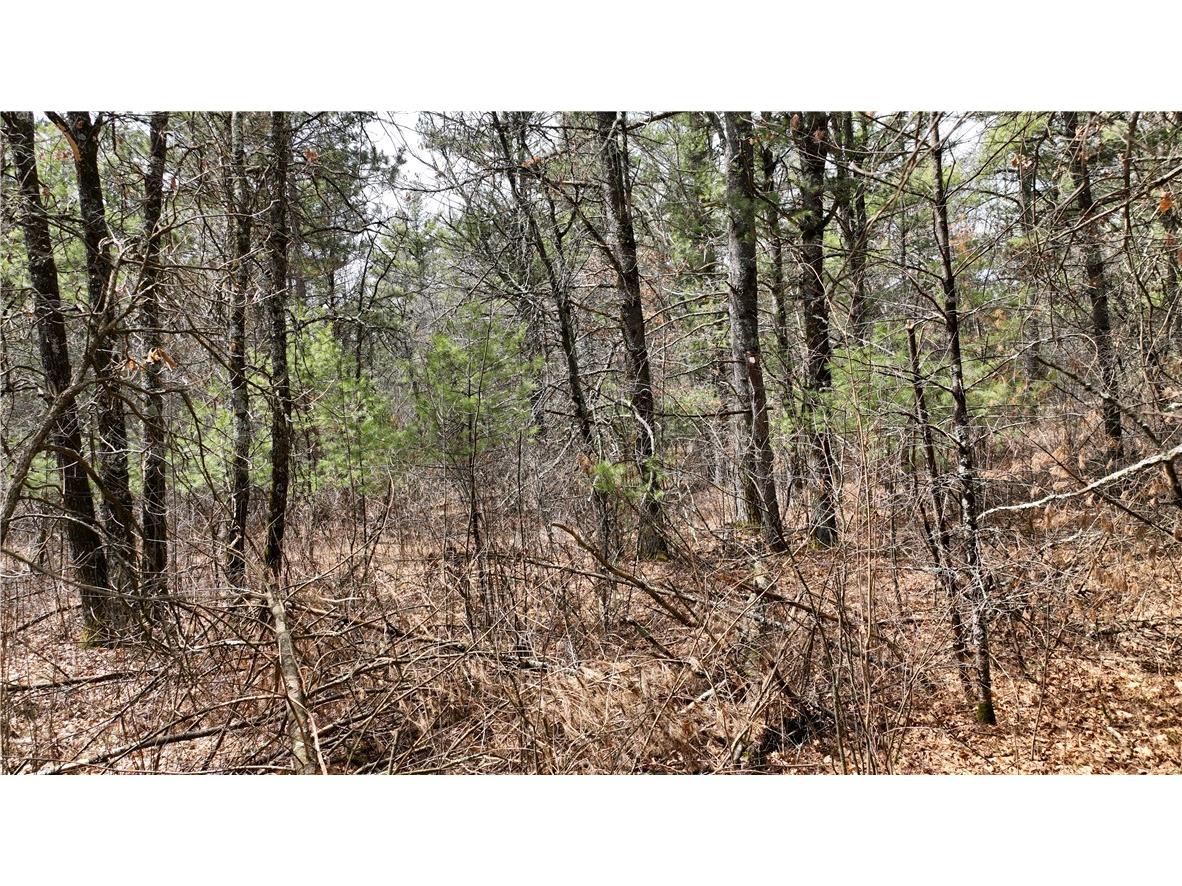 XX North Old County Road I Black River Falls WI 54615 - Robinson 1590844 image4