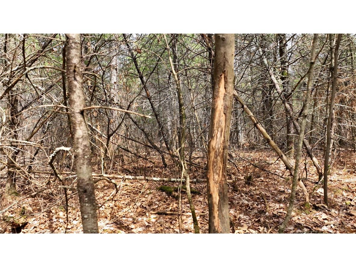 XX North Old County Road I Black River Falls WI 54615 - Robinson 1590844 image5