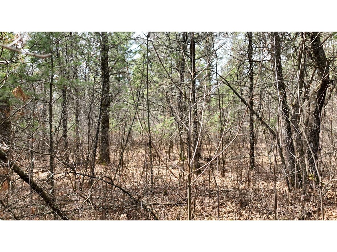 XX North Old County Road I Black River Falls WI 54615 - Robinson 1590844 image6