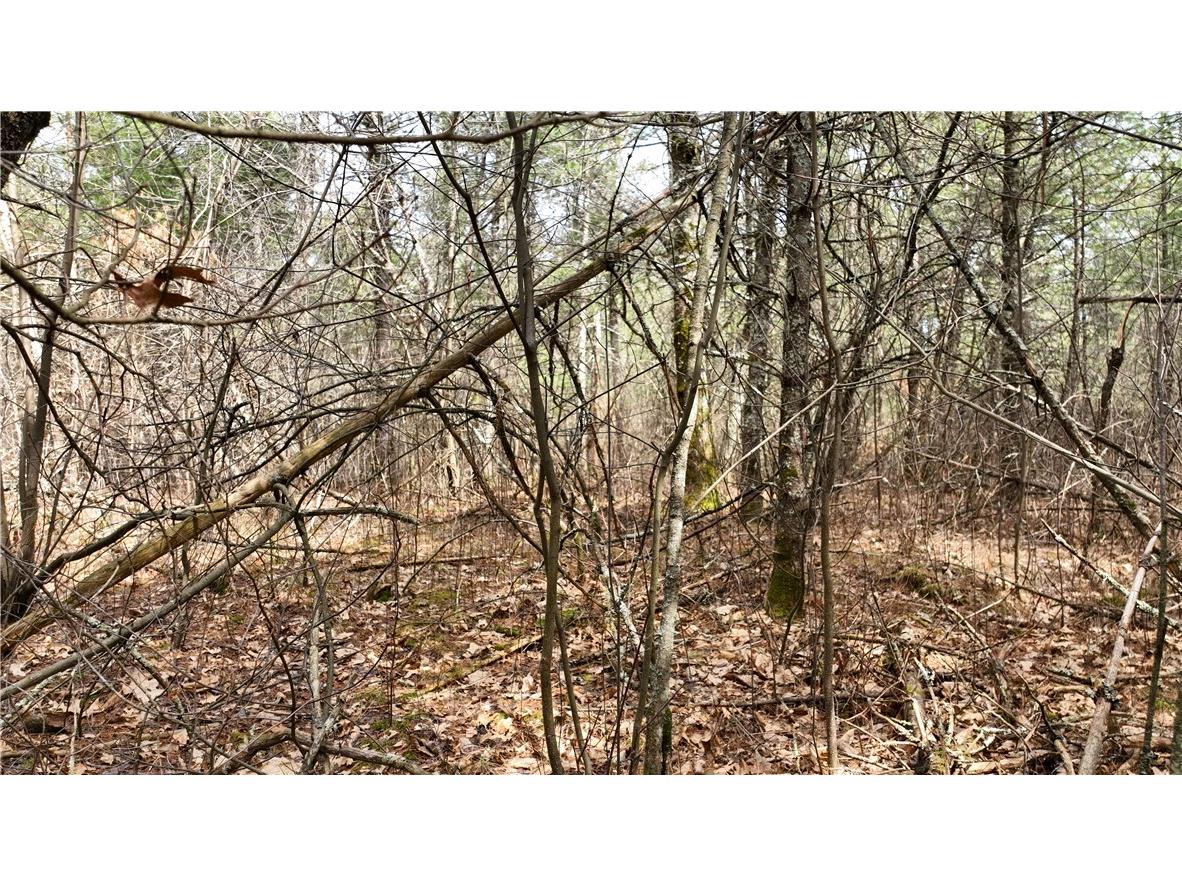 XX North Old County Road I Black River Falls WI 54615 - Robinson 1590844 image7