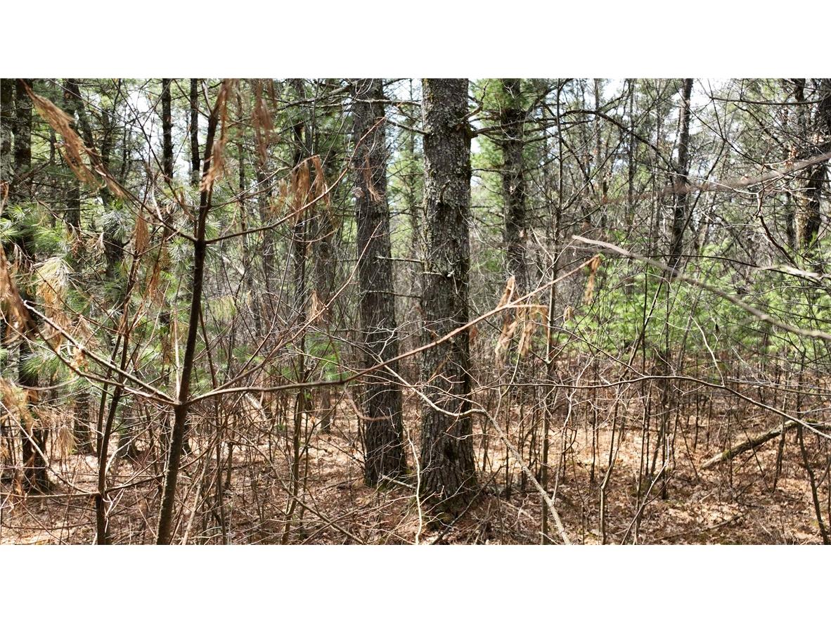 XX North Old County Road I Black River Falls WI 54615 - Robinson 1590844 image8