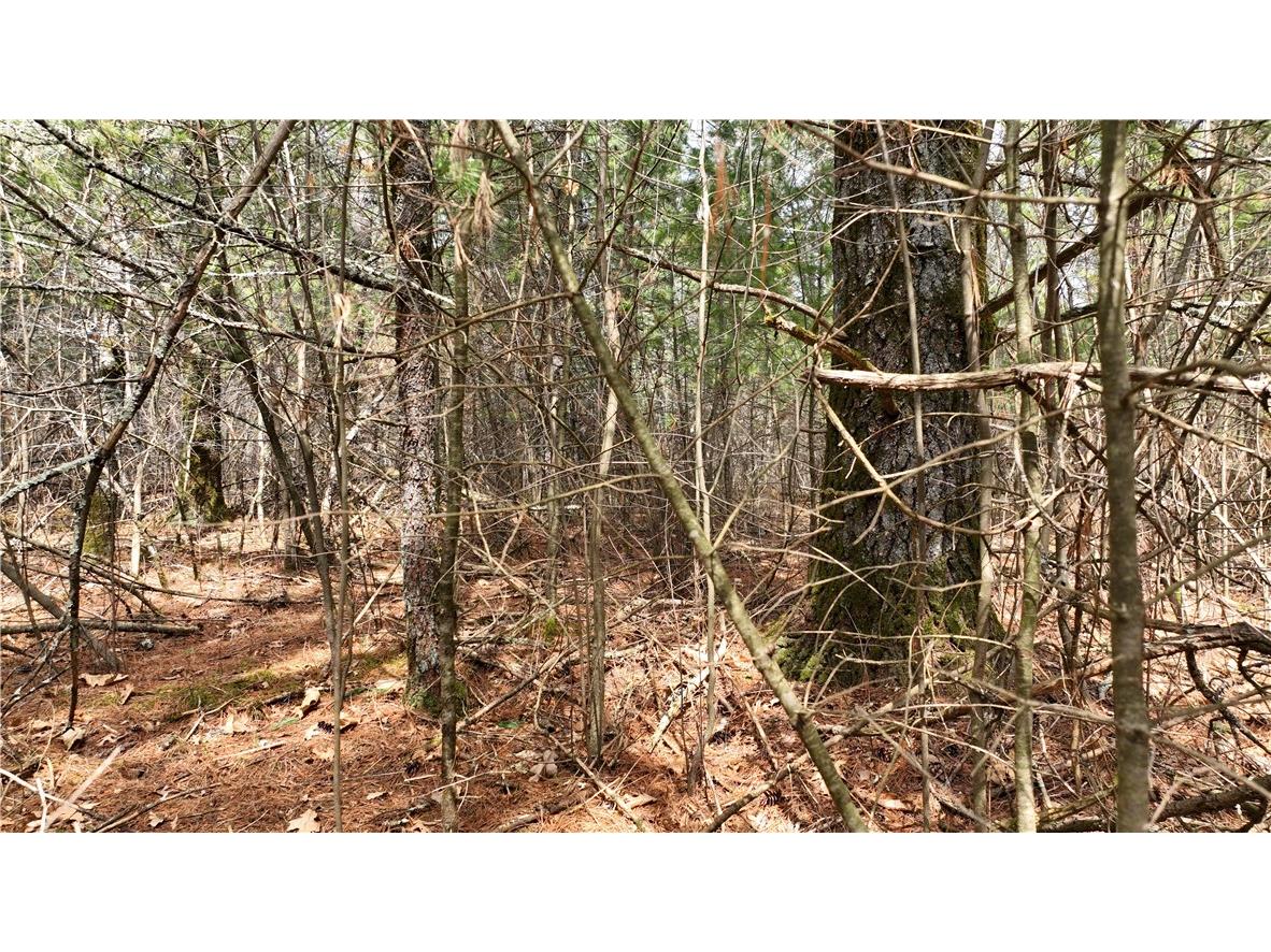 XX North Old County Road I Black River Falls WI 54615 - Robinson 1590844 image9