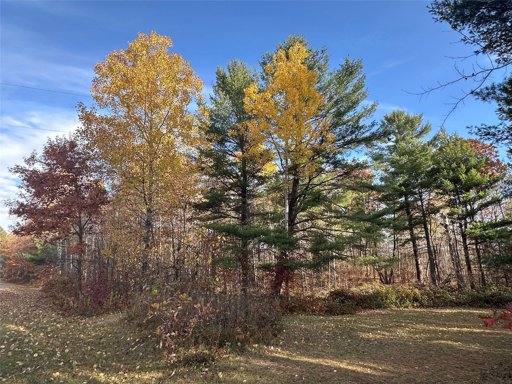 XX Shore Drive Springbrook WI 54875 1602477 image1