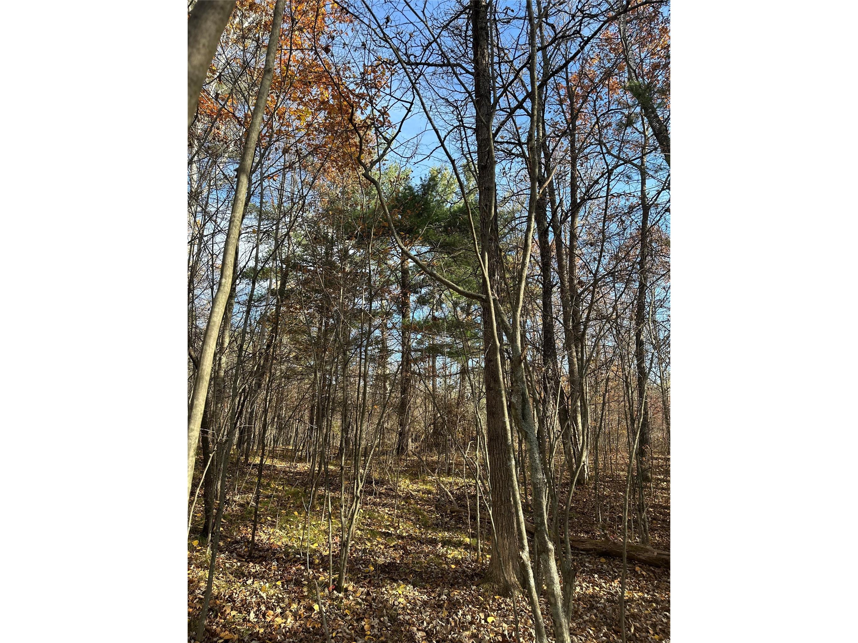 XX Shore Drive Springbrook WI 54875 1602477 image10