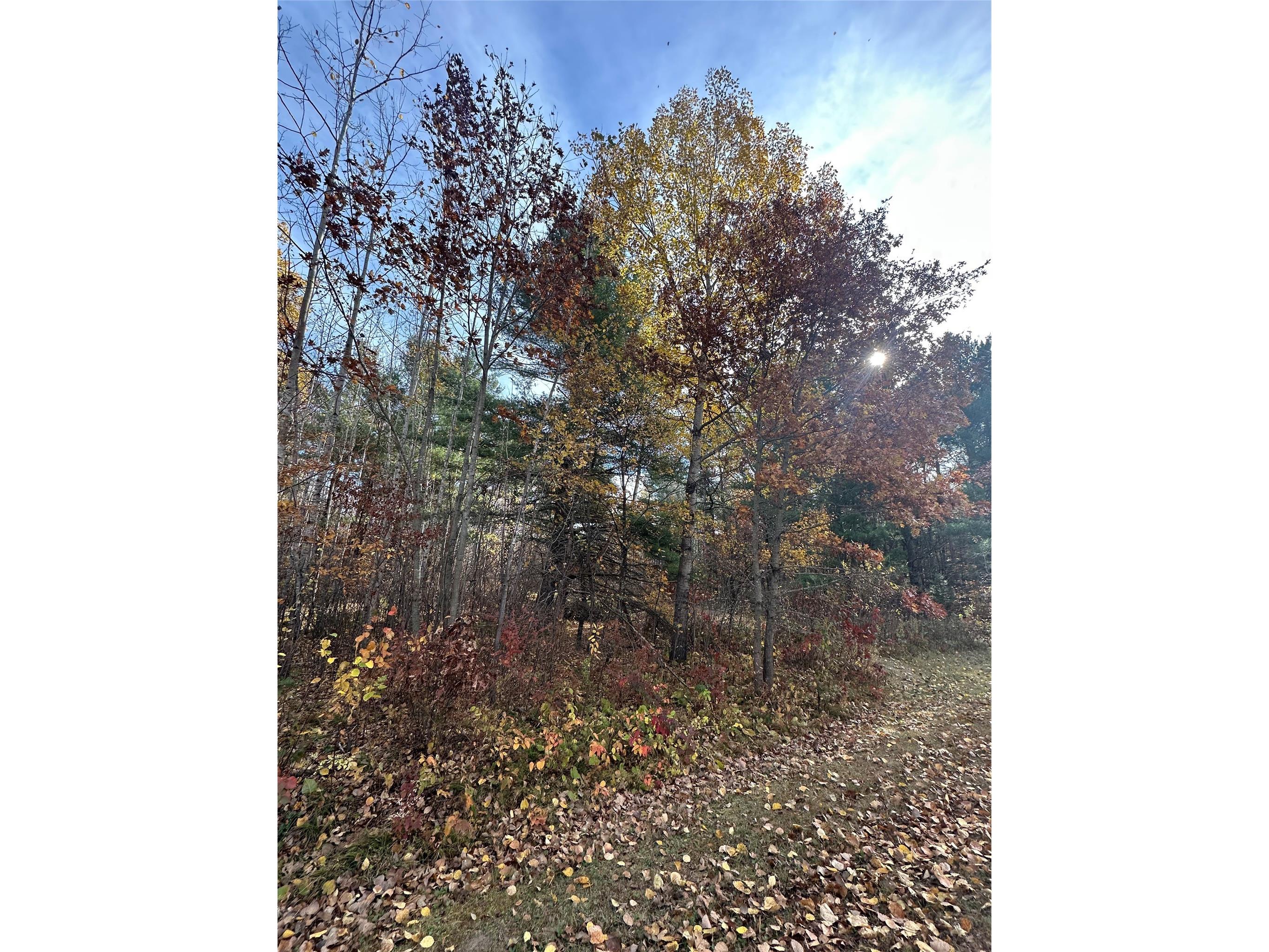 XX Shore Drive Springbrook WI 54875 1602477 image3