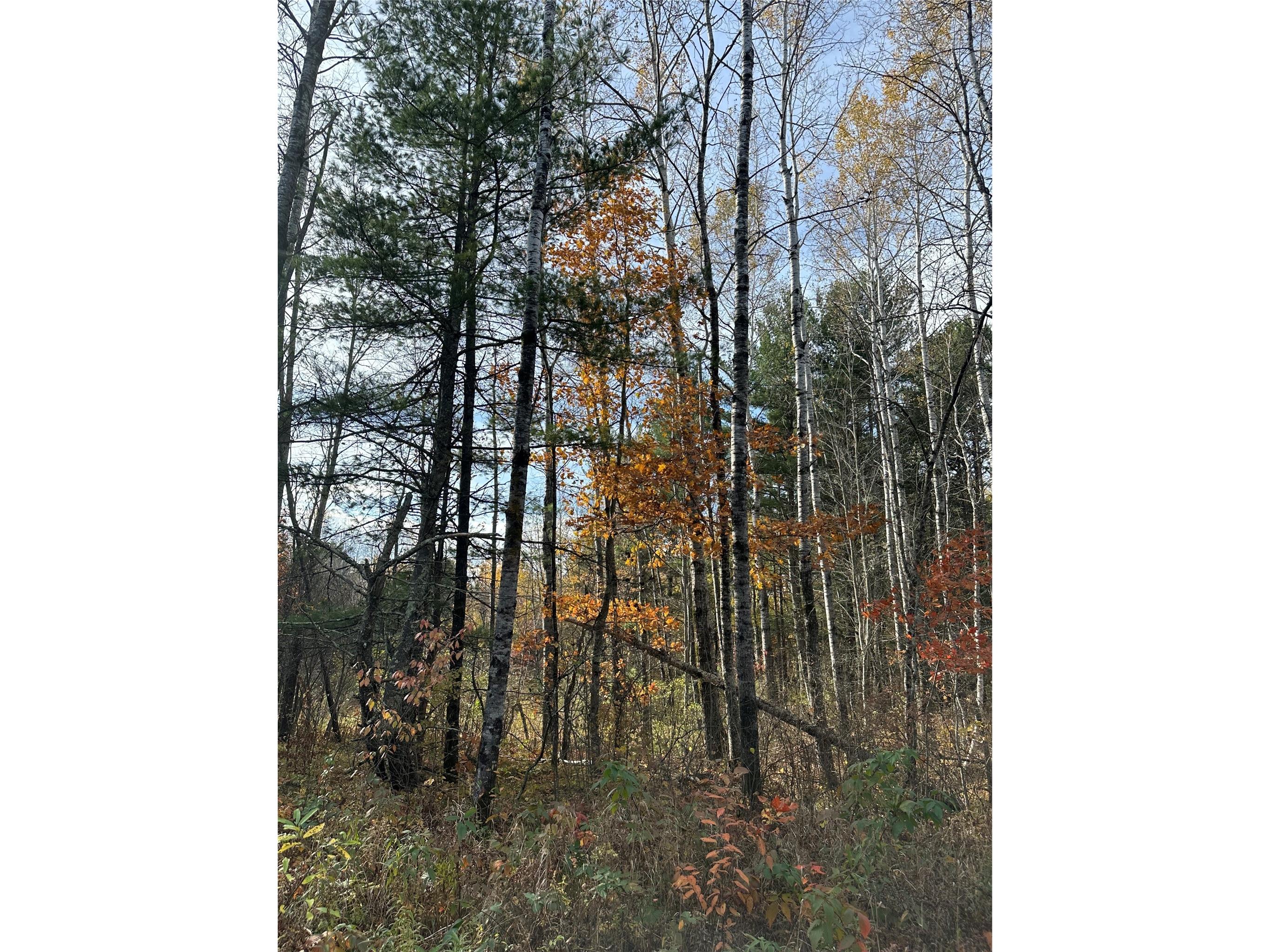 XX Shore Drive Springbrook WI 54875 1602477 image4