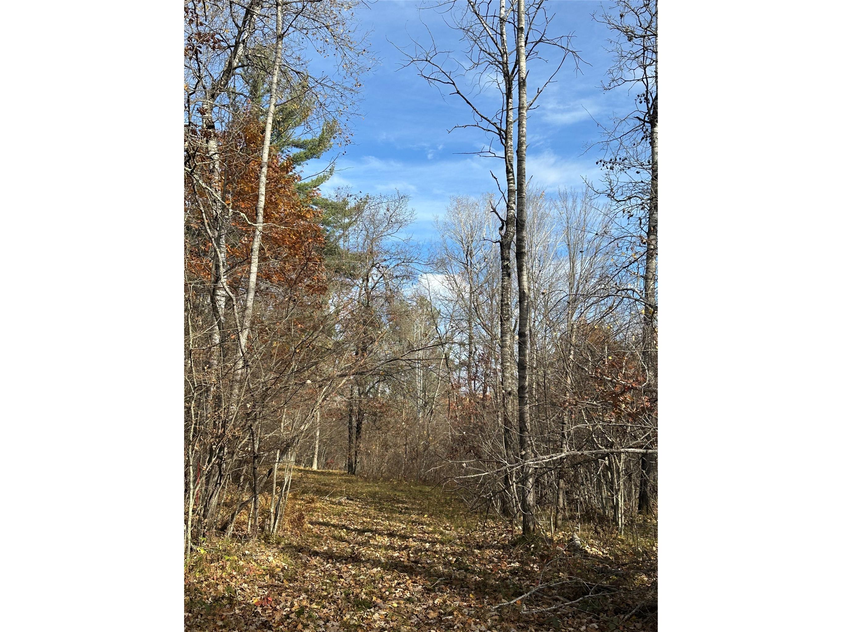 XX Shore Drive Springbrook WI 54875 1602477 image7