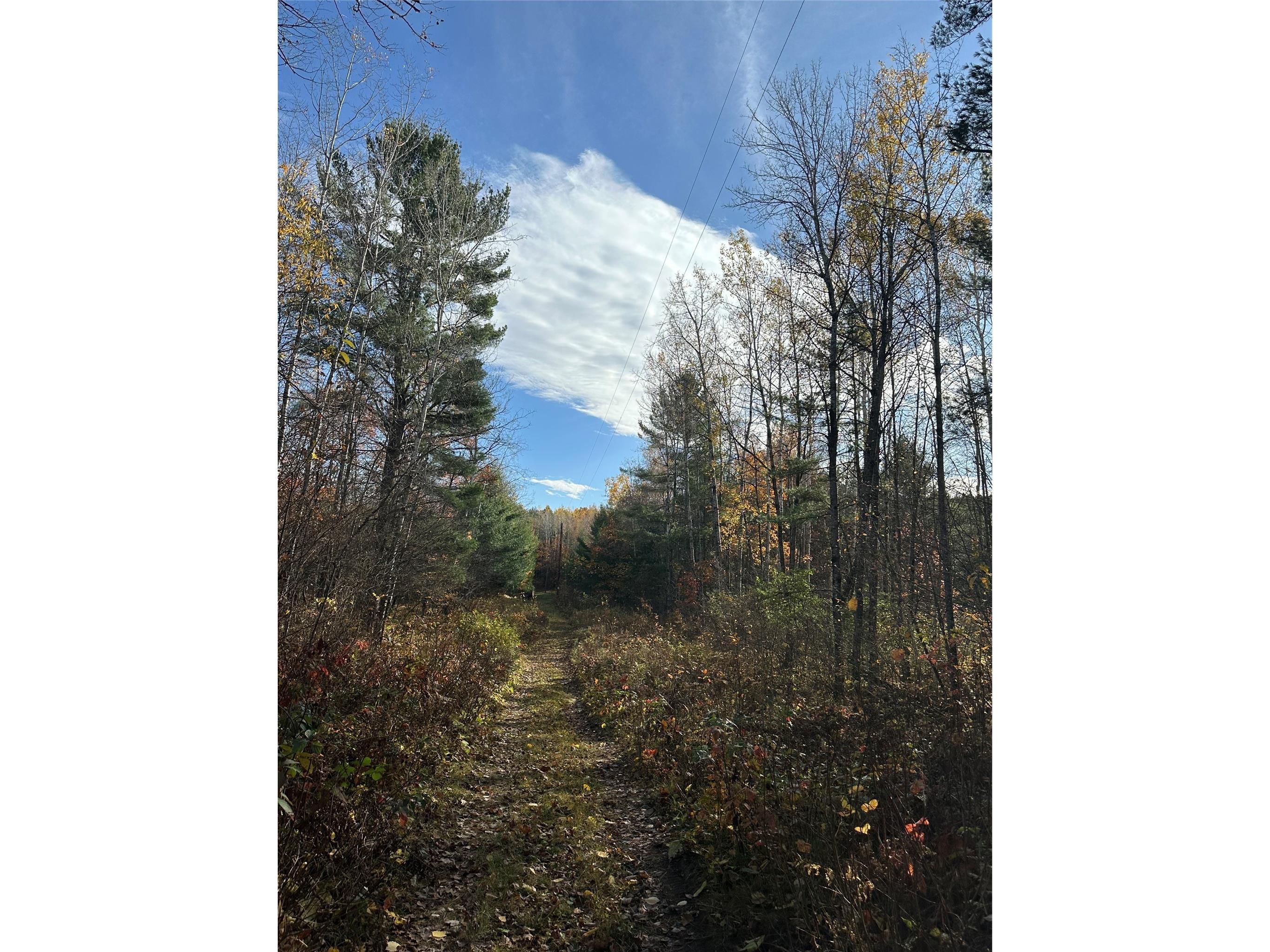 XX Shore Drive Springbrook WI 54875 1602477 image8