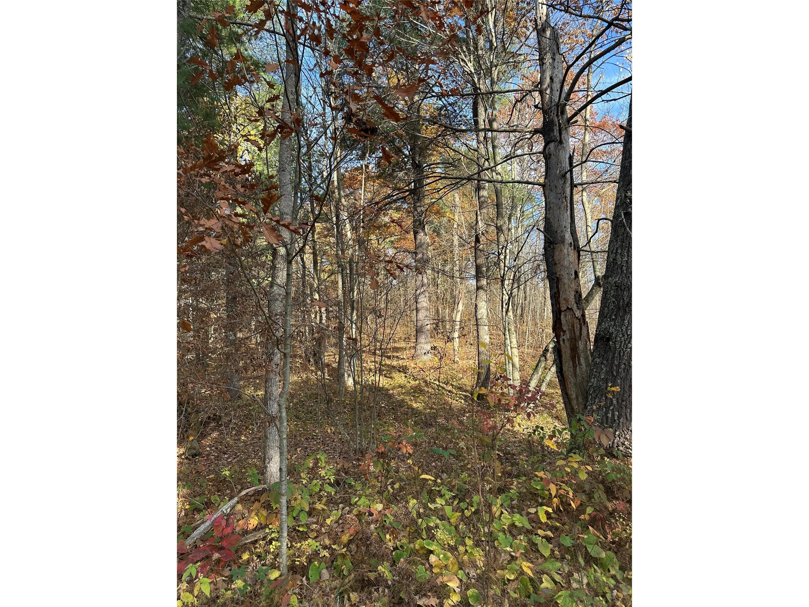 XX Shore Drive Springbrook WI 54875 1602477 image9
