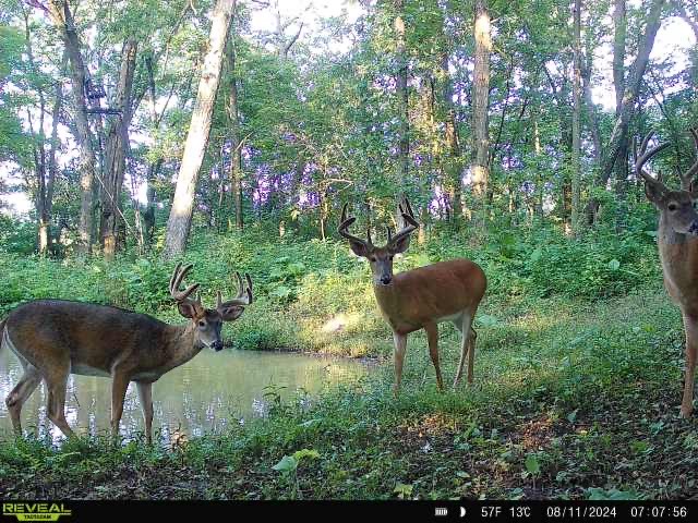 XX Simons Rd Road Alma WI 54610 1600852 image7