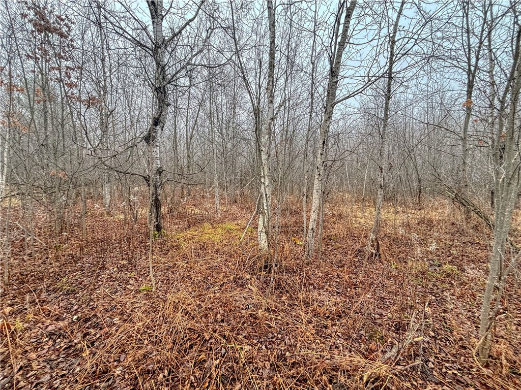 XX Us Highway 8 Cameron WI 54822 1587934 image10