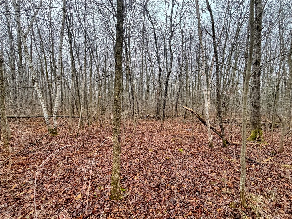 XX Us Highway 8 Cameron WI 54822 1587934 image11