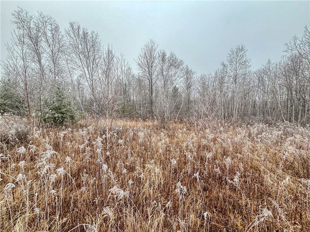 XX Us Highway 8 Cameron WI 54822 1587934 image7