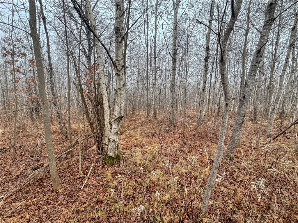 XX Us Highway 8 Cameron WI 54822 1587934 image9