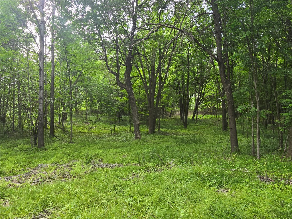 XXX 120th Avenue Amery WI 54001 1593302 image1