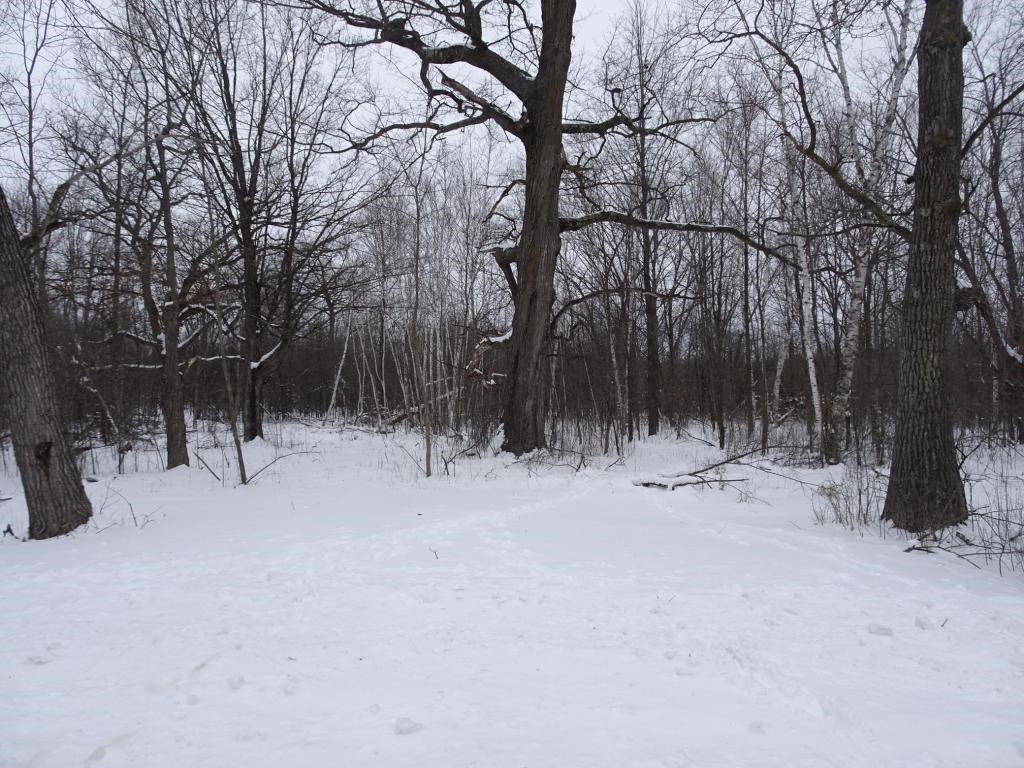 XXX 150th Street Milltown WI 54858 1599381 image1