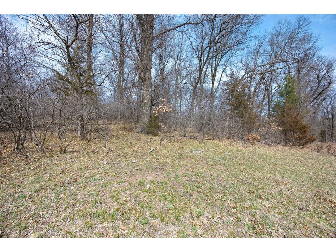 XXX 220th Avenue Somerset WI 54025 1590705 image1