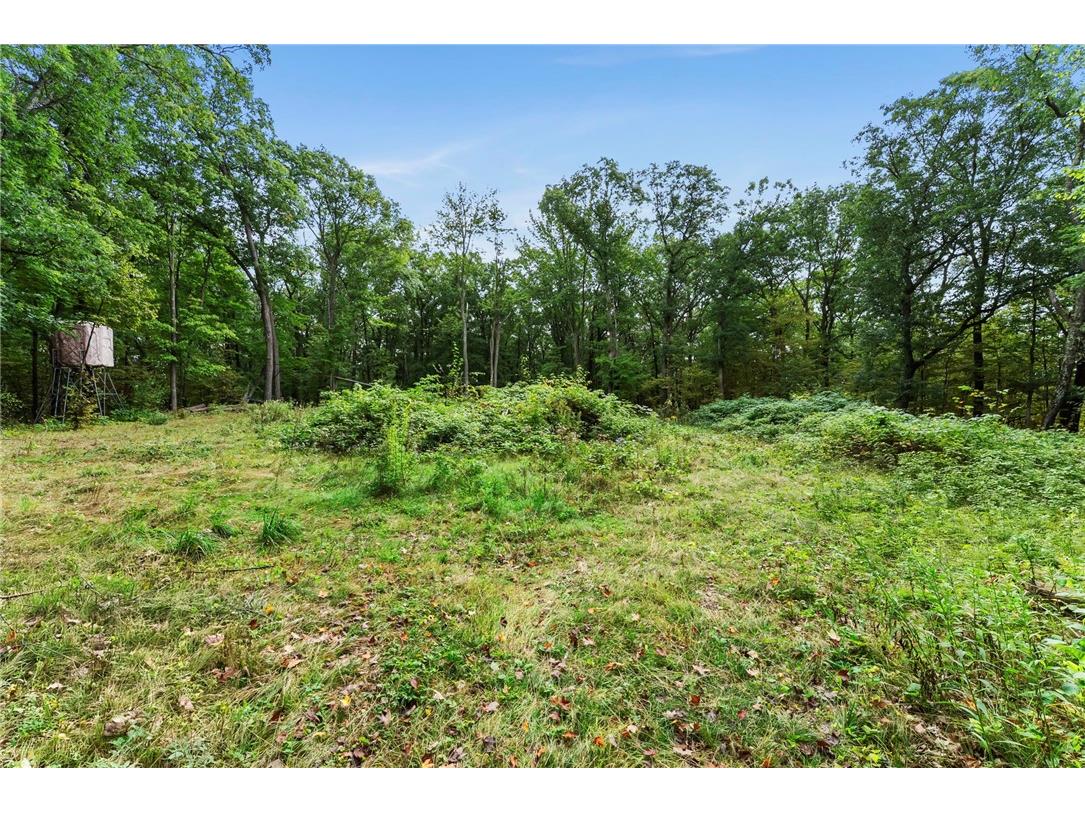 XXX 244th Street Saint Croix Falls WI 54024 1595831 image1