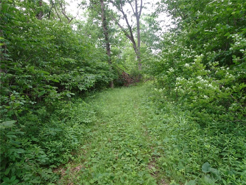 XXX 260th Avenue Luck WI 54853 1583568 image1