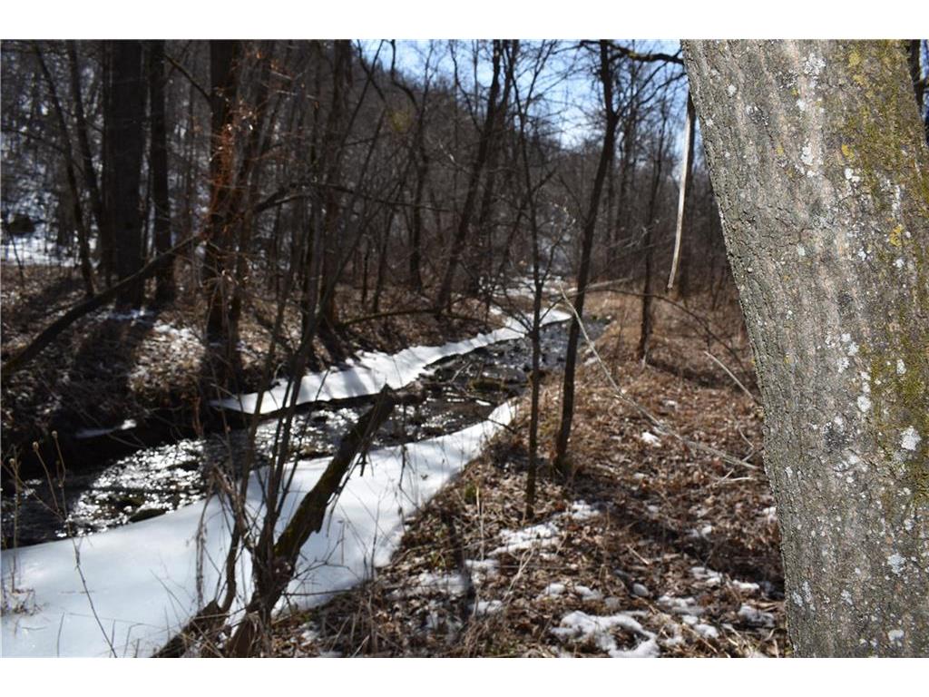 XXX 272nd Street, Maiden Rock, WI 54750 MLS 1551098 Edina Realty