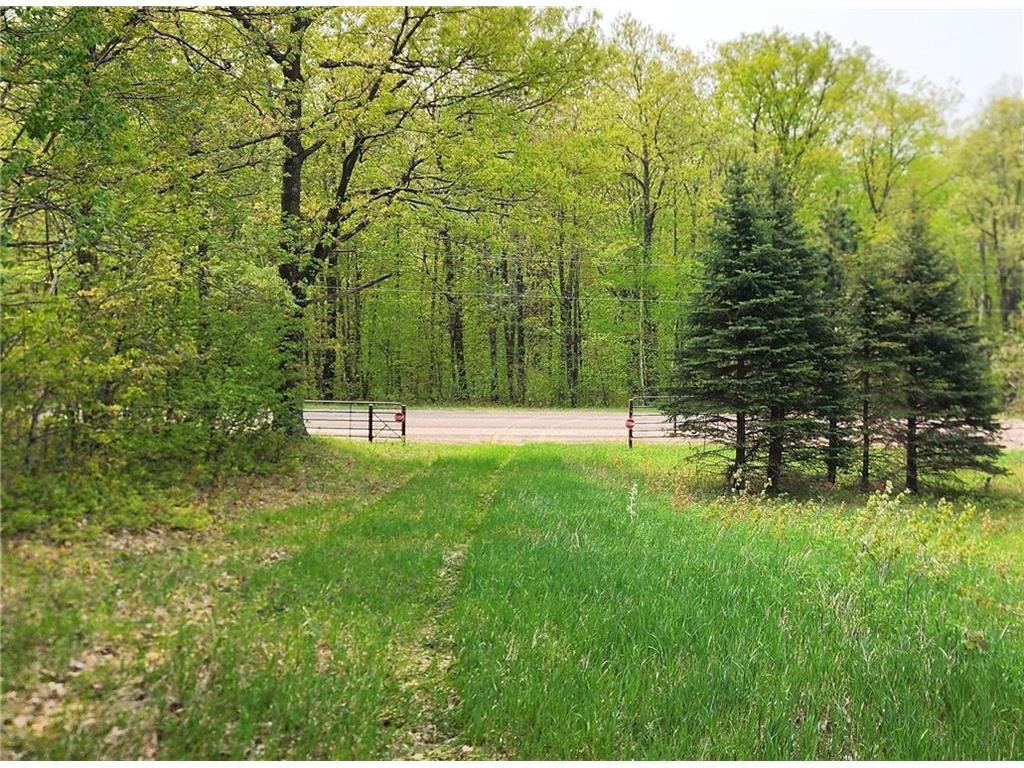 XXX 310th Avenue, Frederic, WI 54837 MLS 1573300 Edina Realty